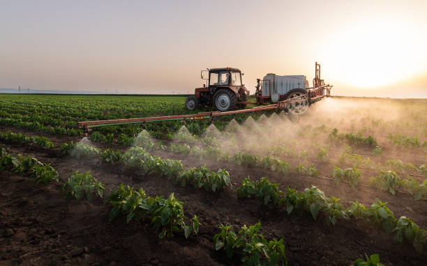 Best Insect Control  in Campbellsport, WI