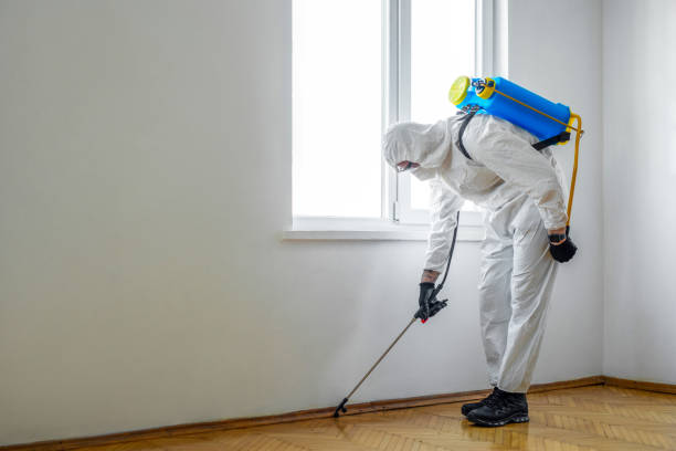 Best Pest Inspection Near Me  in Campbellsport, WI