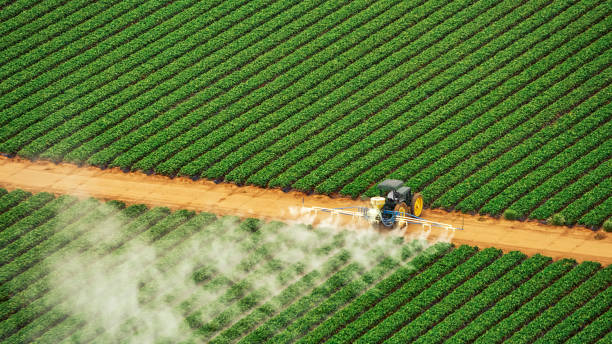 Insect Control in Campbellsport, WI