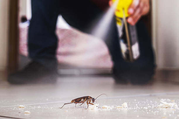 Best Affordable Pest Control Services  in Campbellsport, WI
