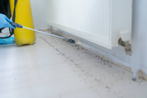 Best Cockroach Control Services  in Campbellsport, WI